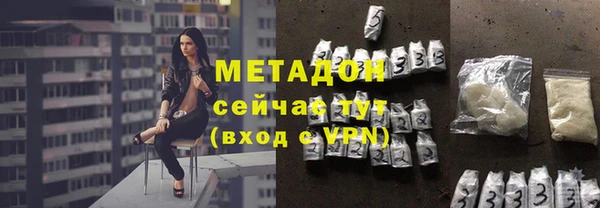 стаф Алзамай
