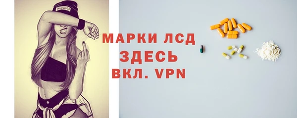 стаф Алзамай
