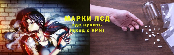 стаф Алзамай