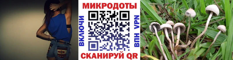 купить наркотики сайты  Тобольск  Псилоцибиновые грибы GOLDEN TEACHER 