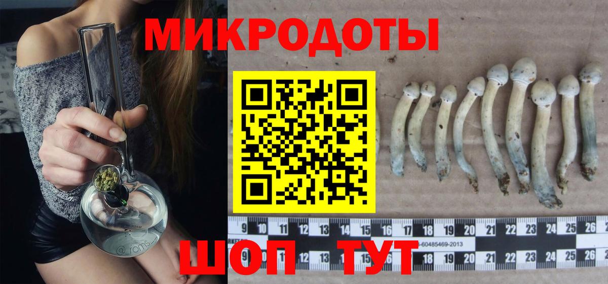 Галлюциногенные грибы Magic Shrooms  где продают   Тобольск  Вход с VPN 