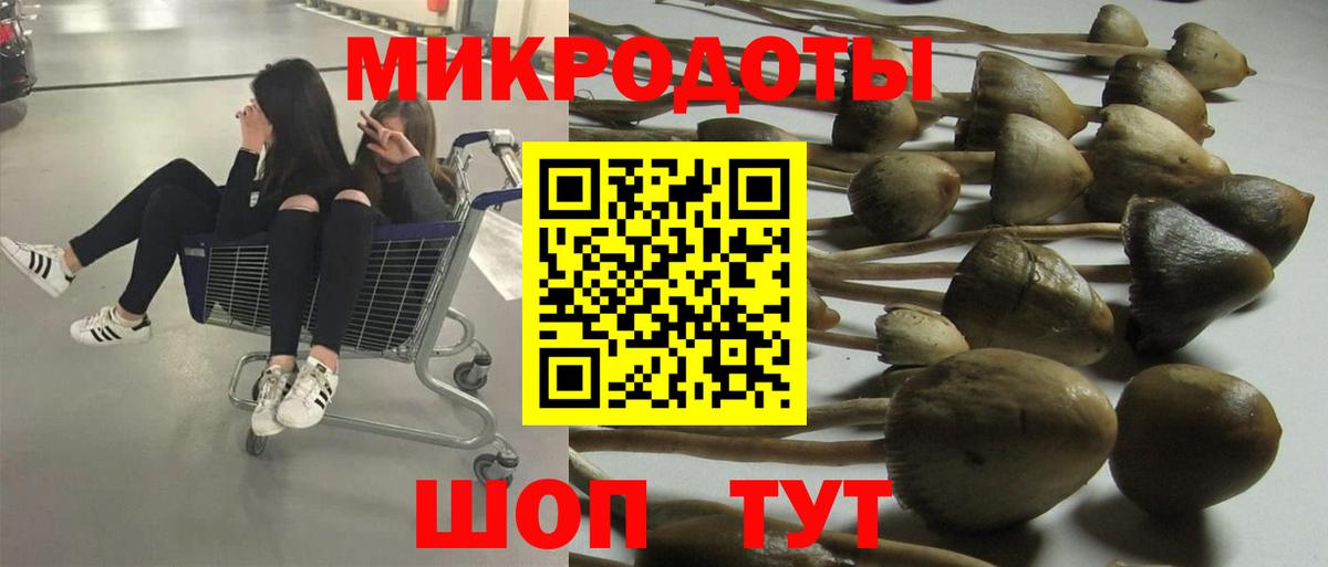Галлюциногенные грибы прущие грибы Тобольск